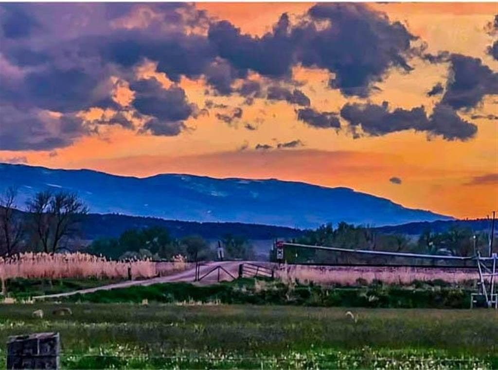 654 Hwy 20 N — photo 5 of 71