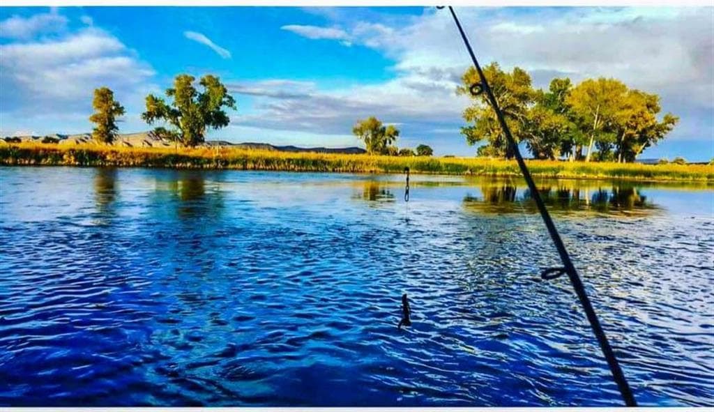 654 Hwy 20 N — photo 7 of 71