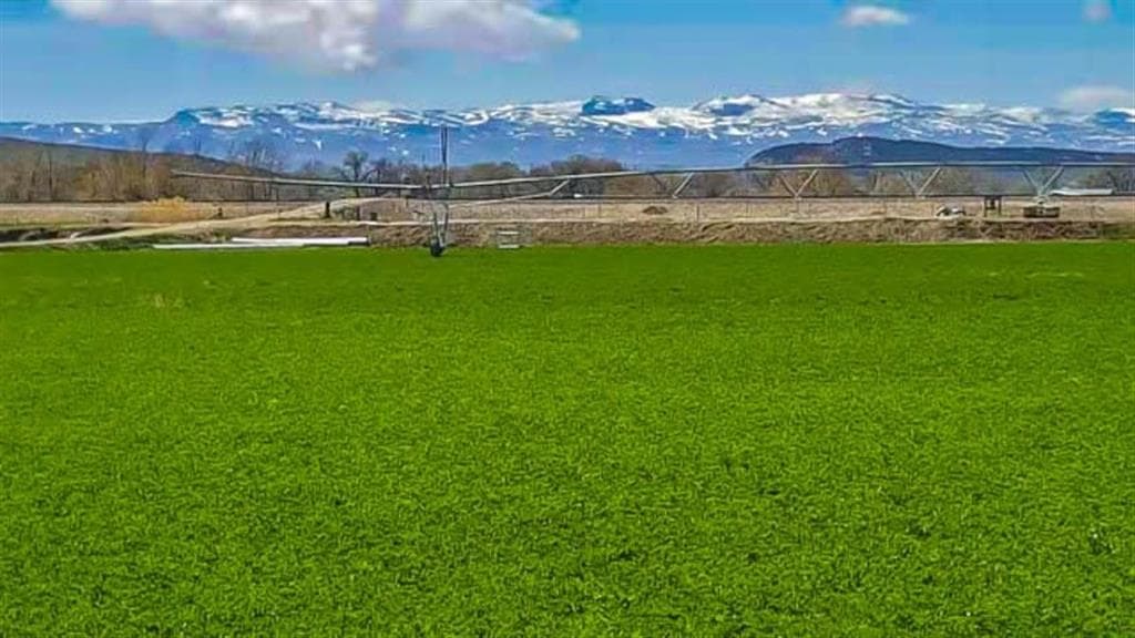 654 Hwy 20 N — photo 8 of 71