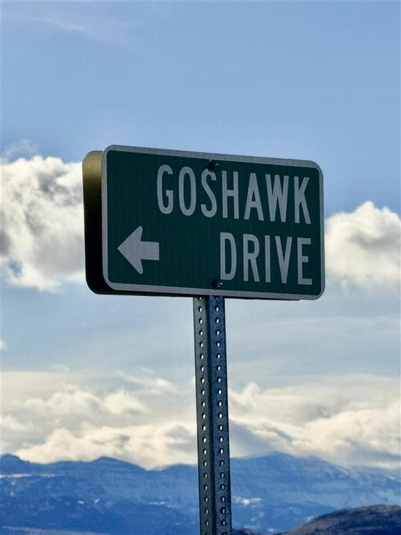 TBD Goshawk Dr — photo 4 of 16