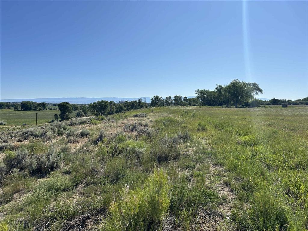 814 Hwy 32 — photo 11 of 15