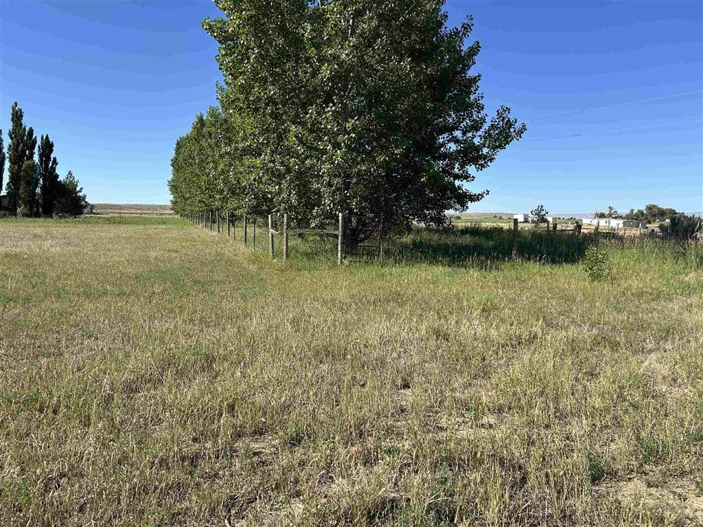 814 Hwy 32 — photo 15 of 15