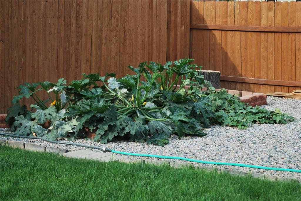 722 S 13th St — photo 31 of 40