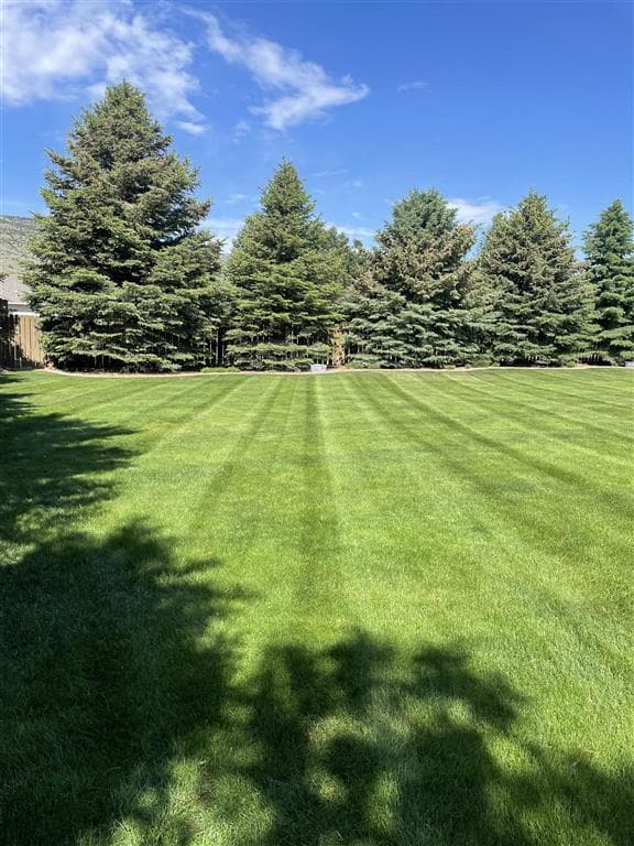 None assigned — photo 3 of 9