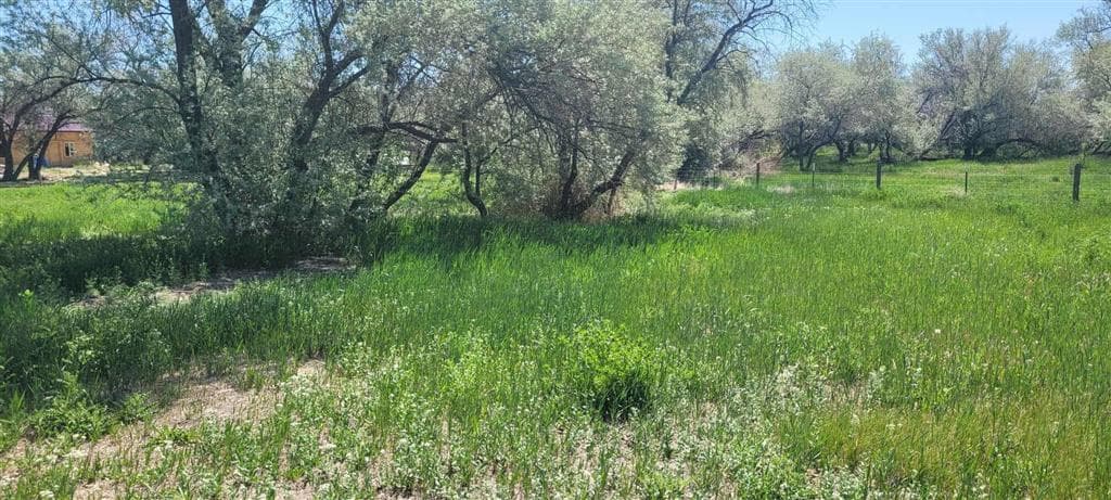 216 Lane 9 — photo 3 of 4