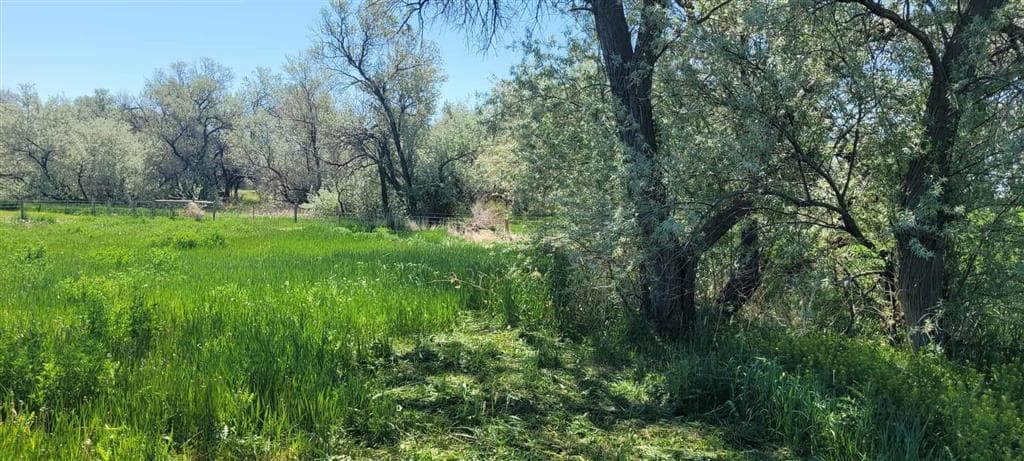 216 Lane 9 — photo 4 of 4