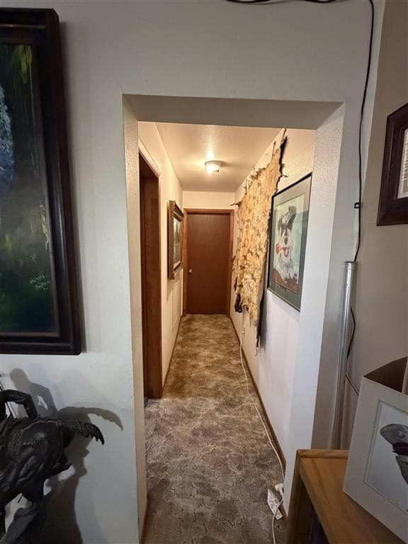 3392 Faye St — photo 26 of 56