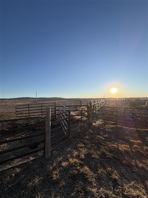 3392 Faye St — photo 46 of 56