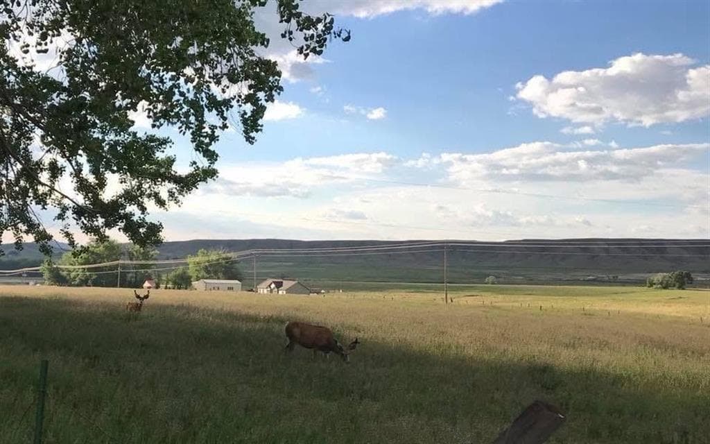 407 Diamond Basin Rd — photo 43 of 48