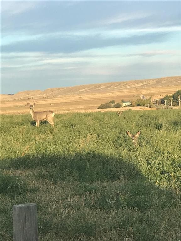 407 Diamond Basin Rd — photo 46 of 48