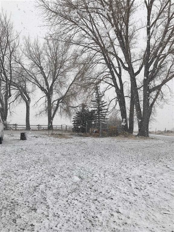 407 Diamond Basin Rd — photo 47 of 48