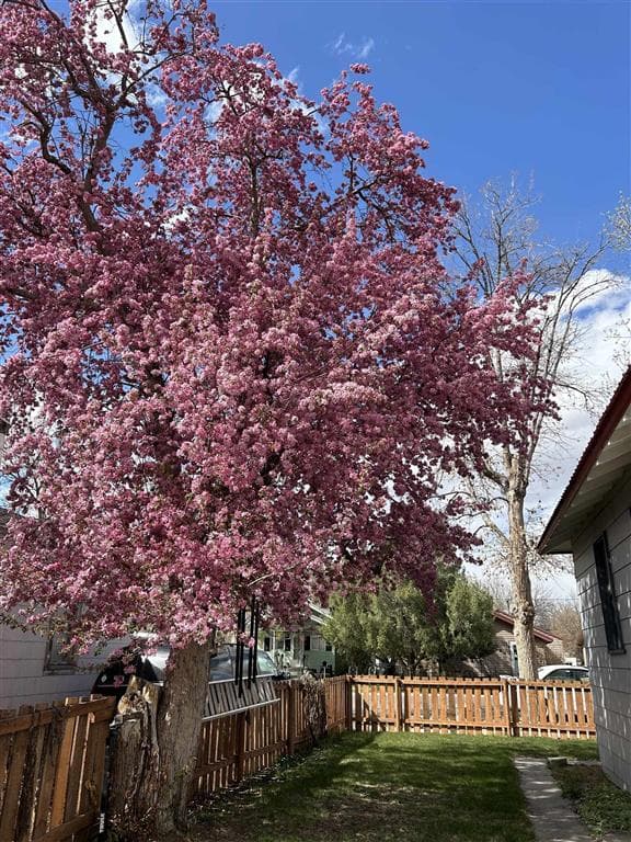 225 4th Ave N — photo 33 of 38