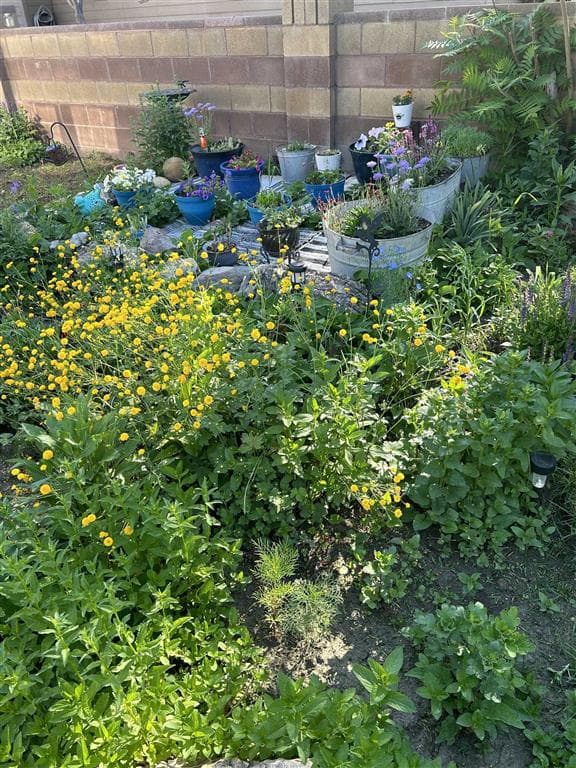 225 4th Ave N — photo 35 of 38