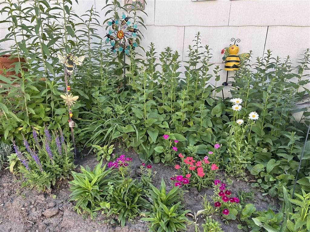 225 4th Ave N — photo 36 of 38