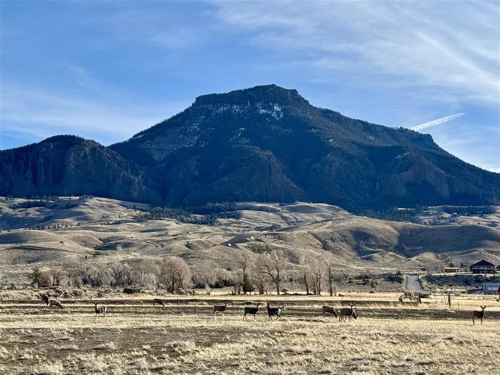 74 Big Creek Dr — photo 7 of 15