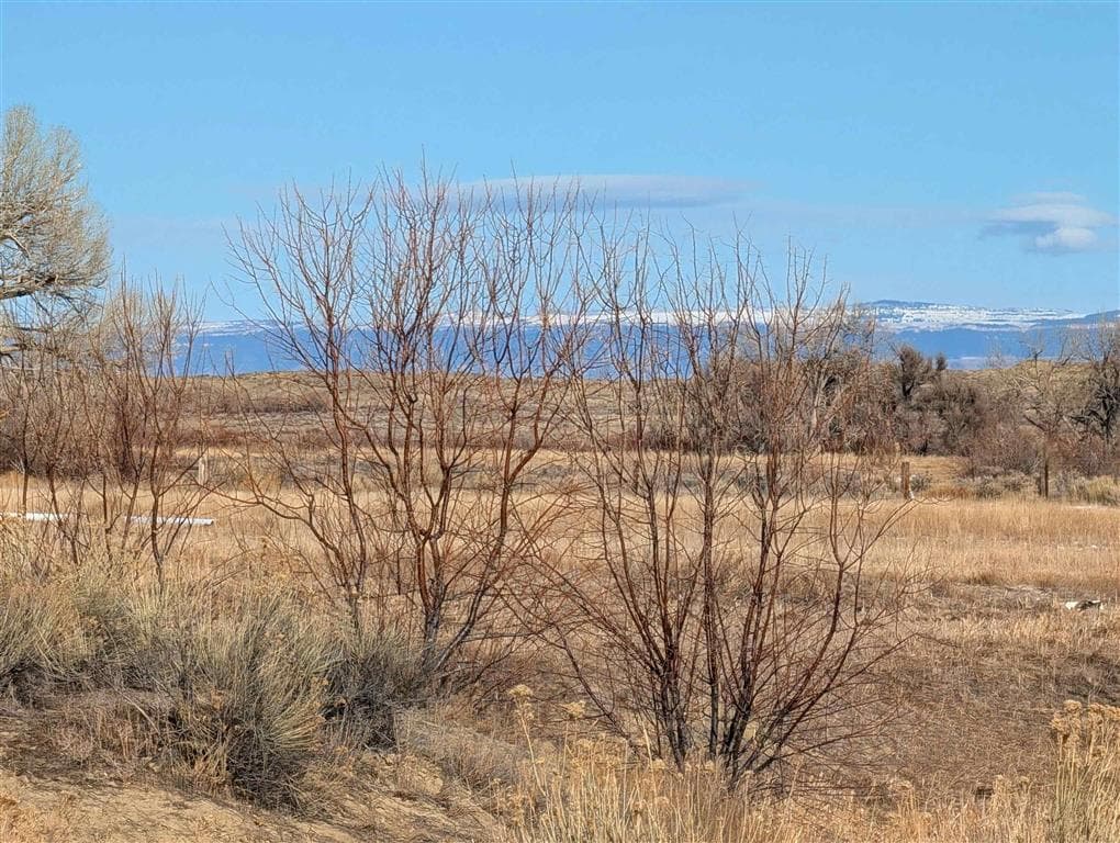 TBD Lane 22 — photo 3 of 5