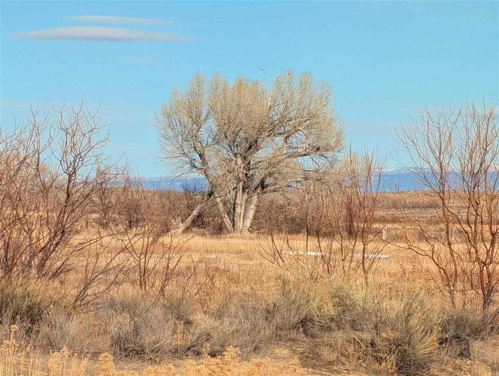 TBD Lane 22 — photo 4 of 5