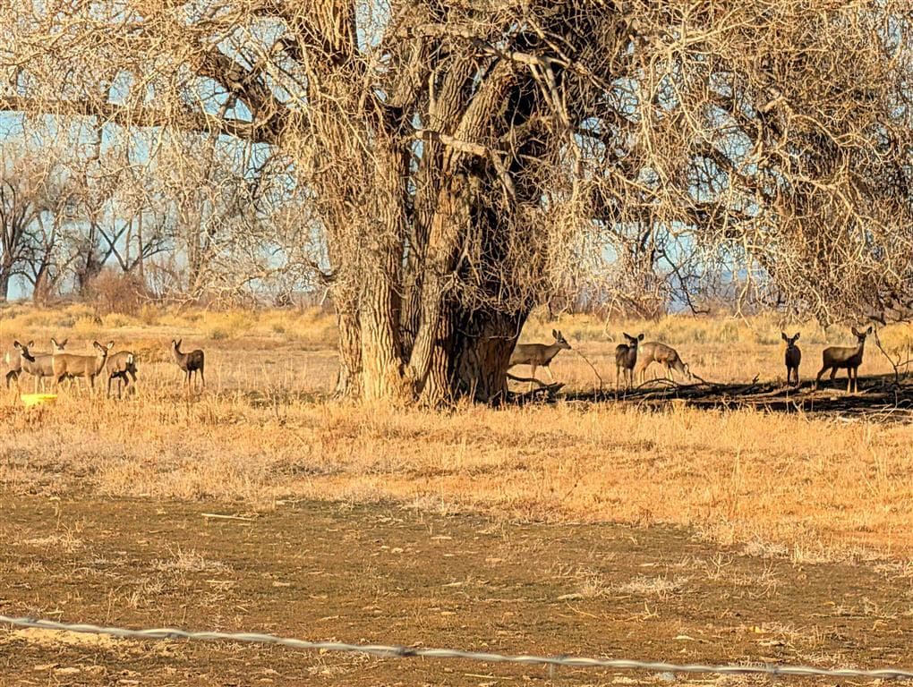 TBD Lane 14 Lane 14 — photo 2 of 5