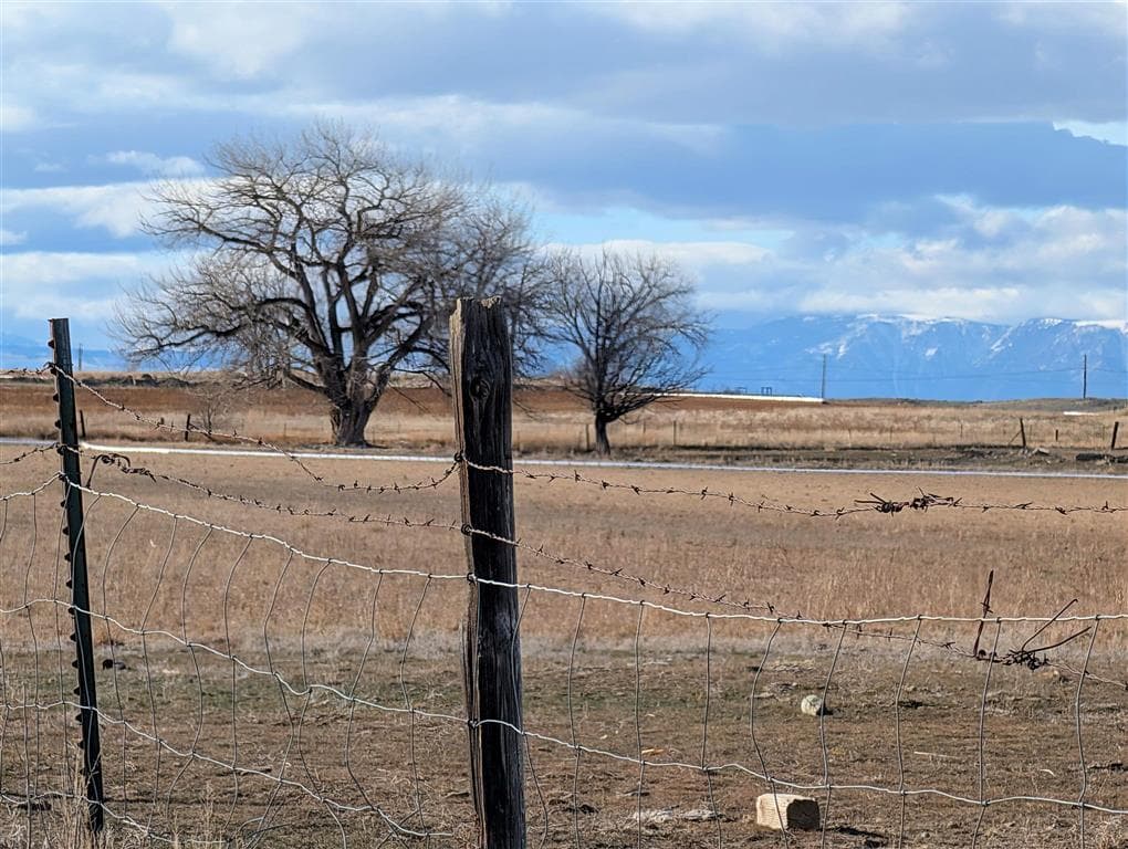 TBD Lane 14 Lane 14 — photo 4 of 5