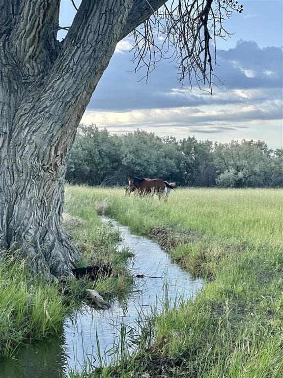 TBD Lane 6 1/2 — photo 10 of 25