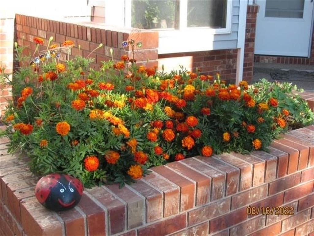 1213 Sage Brush St — photo 20 of 25