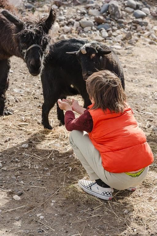 1 Streamside Dr — photo 15 of 25