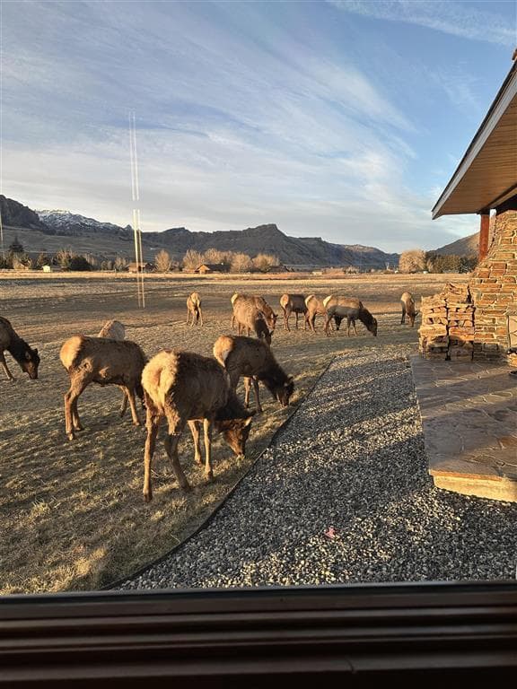 72 Big Creek Dr — photo 15 of 25