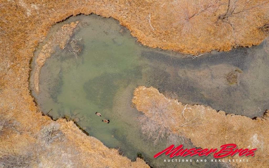 81 McNeil Ln — photo 13 of 25