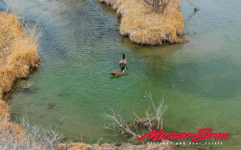 81 McNeil Ln — photo 15 of 25