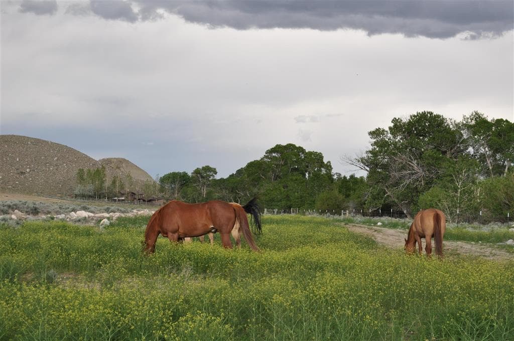 52 Road 8UC — photo 2 of 25