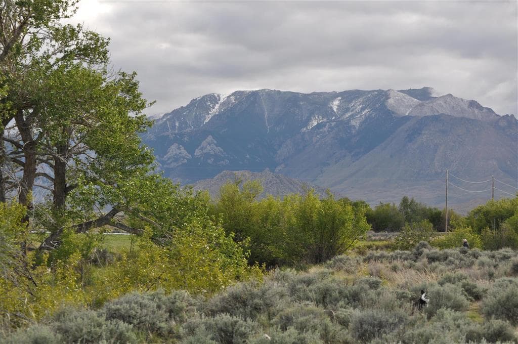 52 Road 8UC — photo 3 of 25