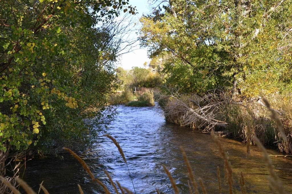 52 Road 8UC — photo 4 of 25