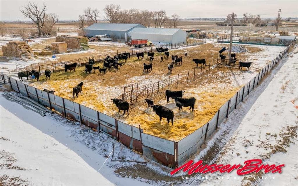 642 Road 6 — photo 15 of 25