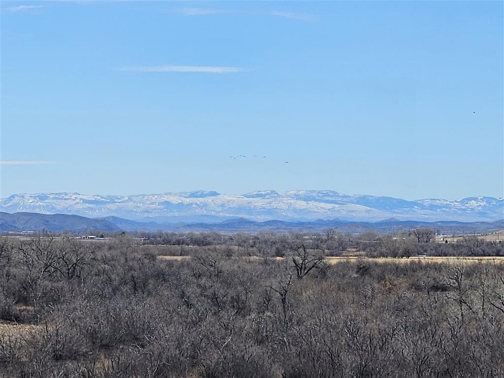 1670 Sesame St — photo 14 of 25