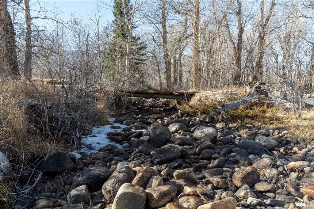 409 Tolman Rd — photo 12 of 25