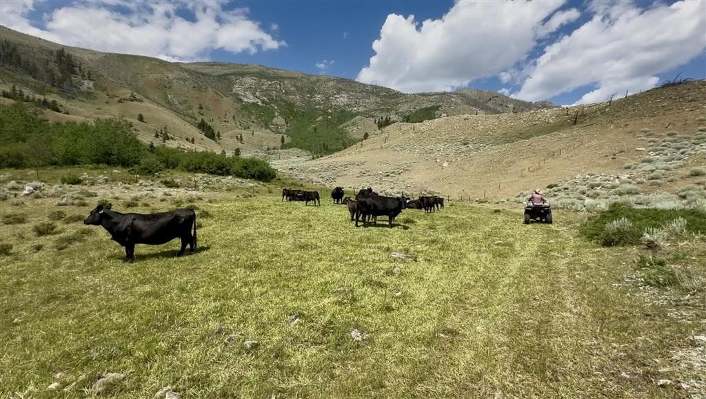 409 Tolman Rd — photo 3 of 25