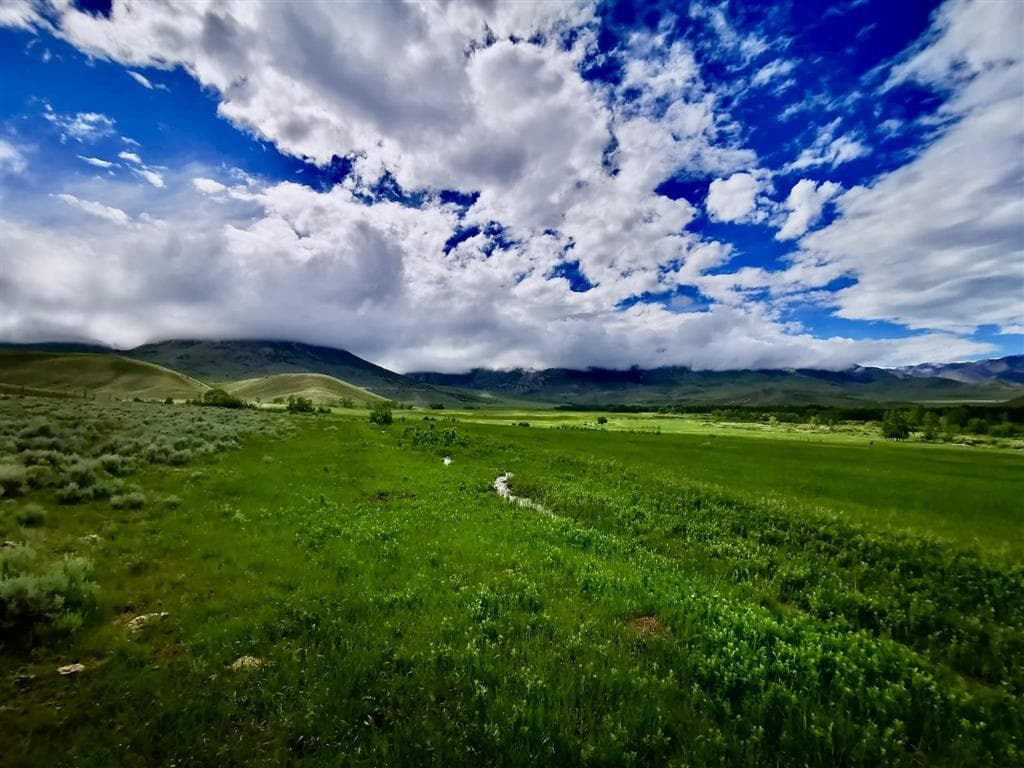 409 Tolman Rd — photo 4 of 25