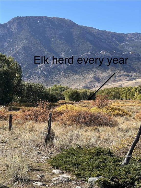 409 Tolman Rd — photo 5 of 25