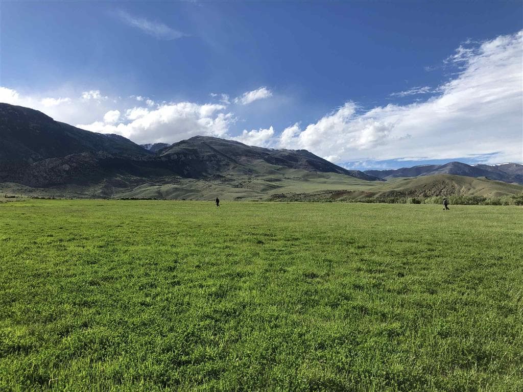 409 Tolman Rd — photo 6 of 25