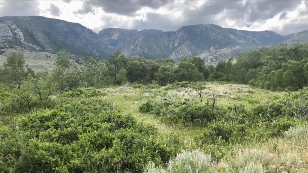 409 Tolman Rd — photo 7 of 25