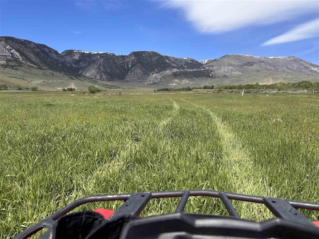 409 Tolman Rd — photo 8 of 25