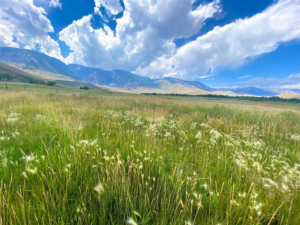 409 Tolman Rd — photo 9 of 25