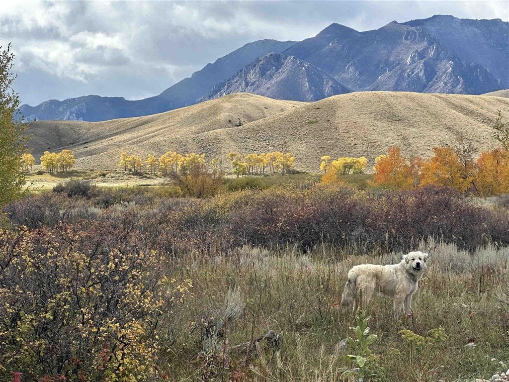 409 Tolman Rd — photo 10 of 25