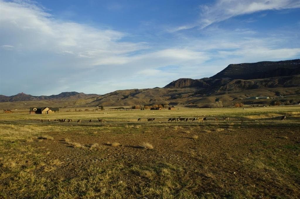 48 Big Creek Dr — photo 8 of 11