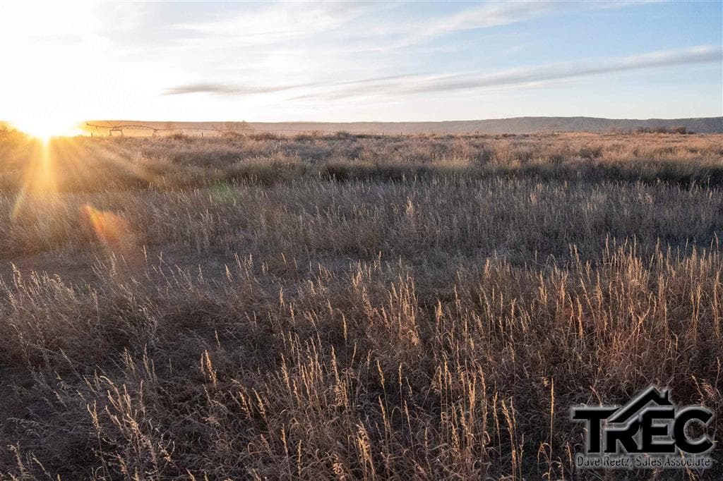 417 Fiddlers Ln — photo 16 of 19