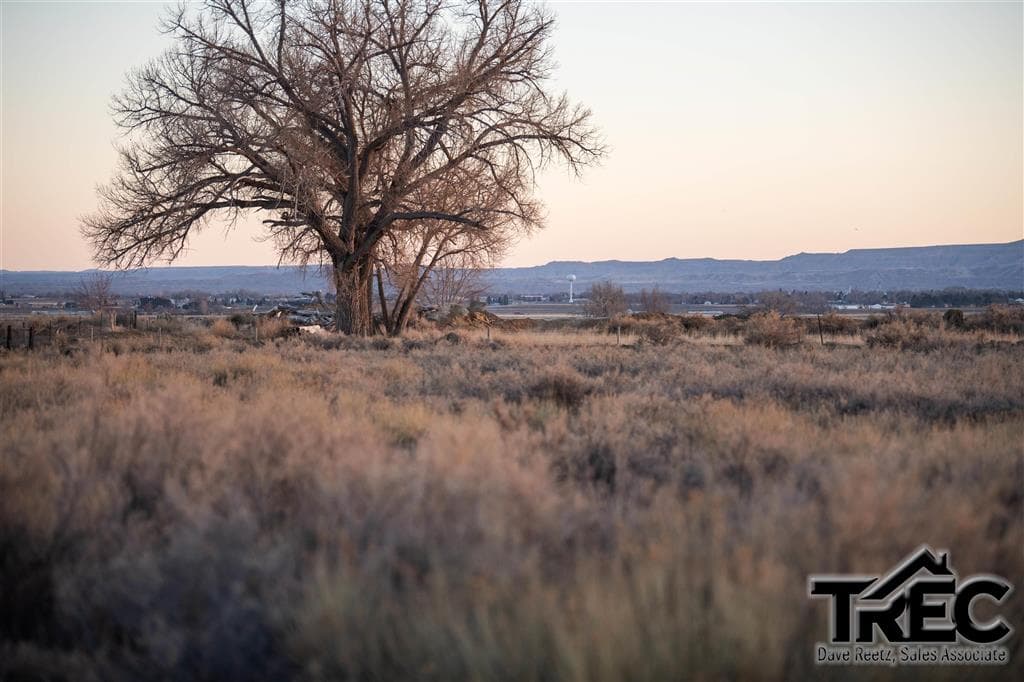 417 Fiddlers Ln — photo 9 of 19