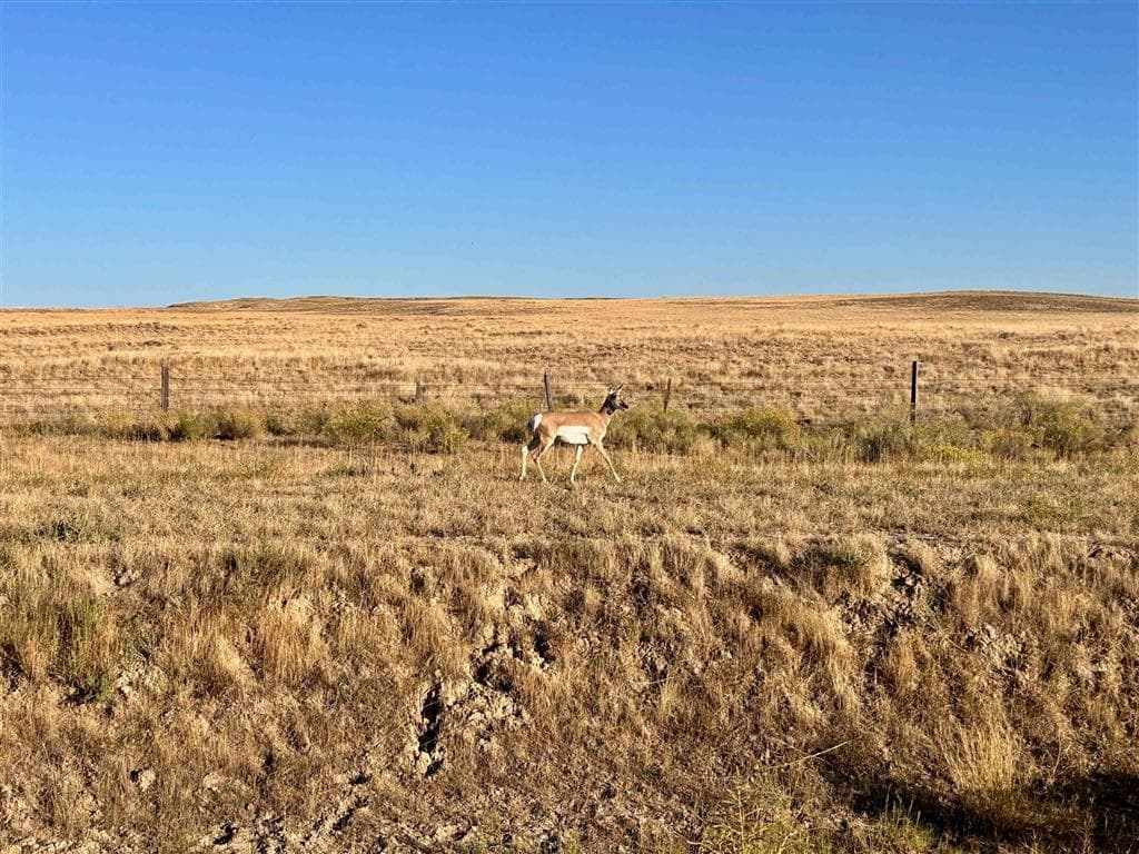 TBD Hwy 32 — photo 14 of 25