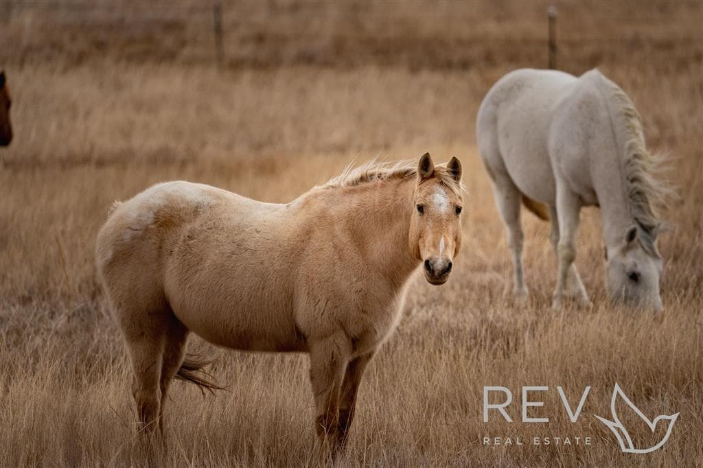 93 Tapadero Ln — photo 4 of 25