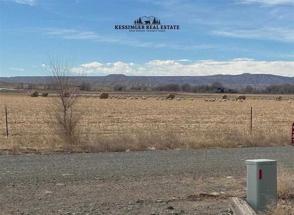 423 Lane 12 — photo 16 of 25