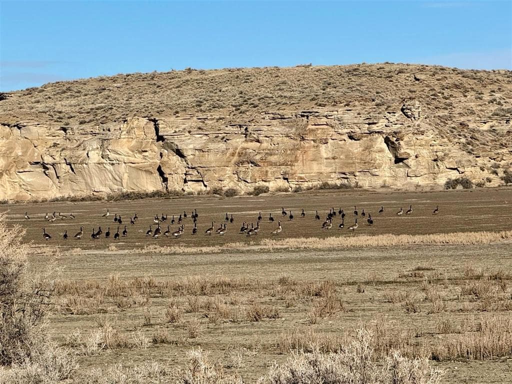 3824 Basin Gardens Rd — photo 3 of 25